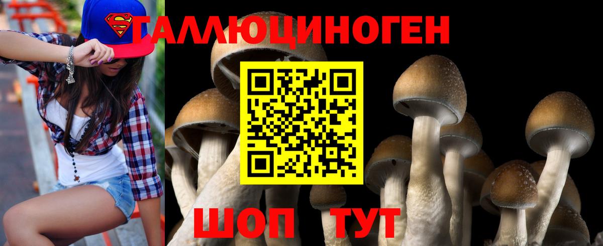 Псилоцибиновые грибы Magic Shrooms Краснознаменск