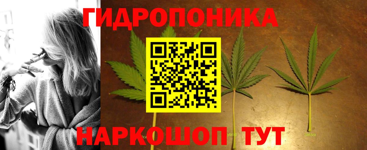 МАРИХУАНА сатива Краснознаменск